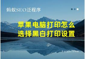 苹果电脑打印怎么选择黑白打印设置