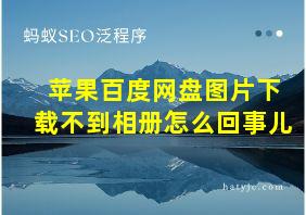 苹果百度网盘图片下载不到相册怎么回事儿