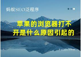 苹果的浏览器打不开是什么原因引起的