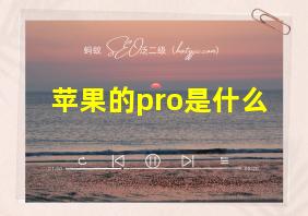 苹果的pro是什么