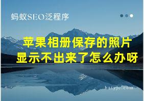 苹果相册保存的照片显示不出来了怎么办呀