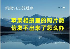 苹果相册里的照片微信发不出来了怎么办