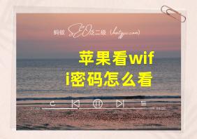 苹果看wifi密码怎么看