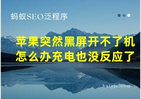 苹果突然黑屏开不了机怎么办充电也没反应了