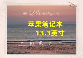 苹果笔记本 13.3英寸