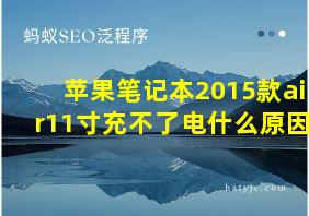 苹果笔记本2015款air11寸充不了电什么原因