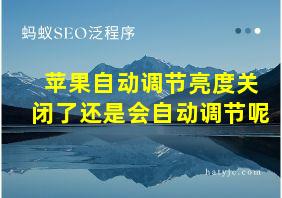 苹果自动调节亮度关闭了还是会自动调节呢