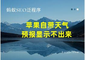 苹果自带天气预报显示不出来