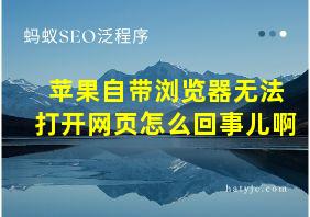 苹果自带浏览器无法打开网页怎么回事儿啊