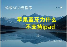 苹果蓝牙为什么不支持ipad