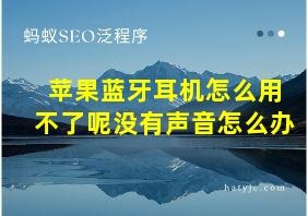 苹果蓝牙耳机怎么用不了呢没有声音怎么办