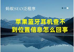 苹果蓝牙耳机查不到位置信息怎么回事