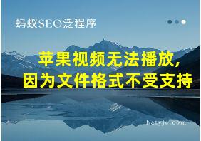 苹果视频无法播放,因为文件格式不受支持