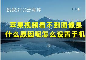 苹果视频看不到图像是什么原因呢怎么设置手机