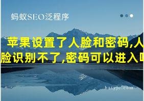 苹果设置了人脸和密码,人脸识别不了,密码可以进入吗