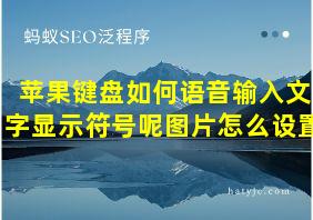 苹果键盘如何语音输入文字显示符号呢图片怎么设置