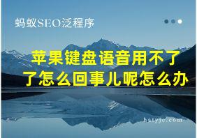 苹果键盘语音用不了了怎么回事儿呢怎么办