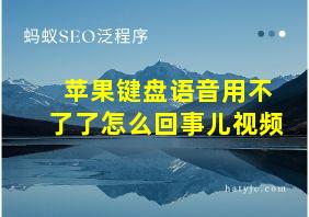 苹果键盘语音用不了了怎么回事儿视频