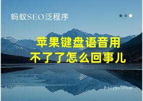 苹果键盘语音用不了了怎么回事儿