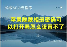 苹果隐藏相册密码可以打开吗怎么设置不了