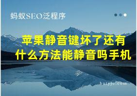 苹果静音键坏了还有什么方法能静音吗手机