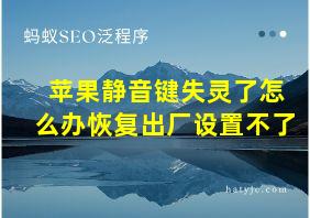 苹果静音键失灵了怎么办恢复出厂设置不了