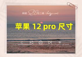 苹果 12 pro 尺寸