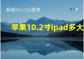 苹果10.2寸ipad多大