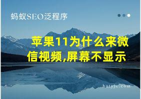 苹果11为什么来微信视频,屏幕不显示