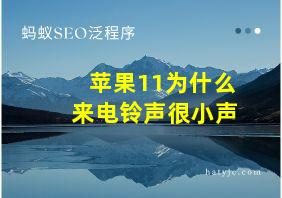 苹果11为什么来电铃声很小声