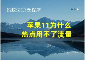 苹果11为什么热点用不了流量