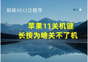 苹果11关机键长按为啥关不了机