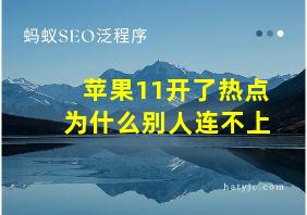 苹果11开了热点为什么别人连不上