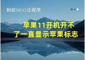 苹果11开机开不了一直显示苹果标志