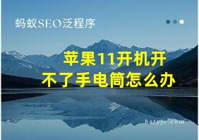 苹果11开机开不了手电筒怎么办