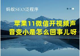 苹果11微信开视频声音变小是怎么回事儿呀