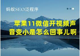 苹果11微信开视频声音变小是怎么回事儿啊