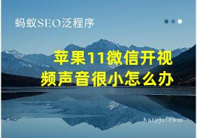 苹果11微信开视频声音很小怎么办