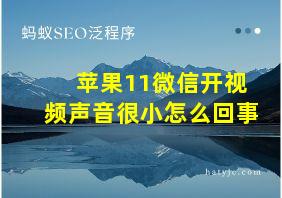 苹果11微信开视频声音很小怎么回事