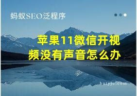 苹果11微信开视频没有声音怎么办