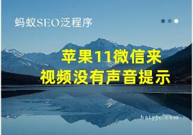 苹果11微信来视频没有声音提示