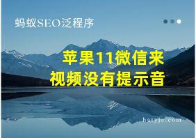 苹果11微信来视频没有提示音