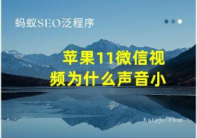 苹果11微信视频为什么声音小