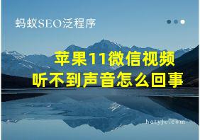 苹果11微信视频听不到声音怎么回事