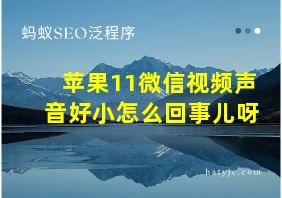 苹果11微信视频声音好小怎么回事儿呀