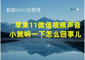 苹果11微信视频声音小就响一下怎么回事儿