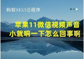 苹果11微信视频声音小就响一下怎么回事啊