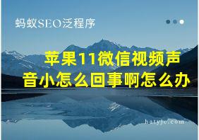 苹果11微信视频声音小怎么回事啊怎么办