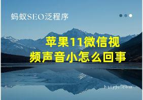 苹果11微信视频声音小怎么回事