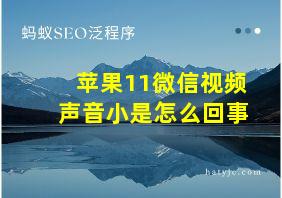 苹果11微信视频声音小是怎么回事